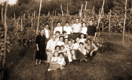 Vendemmia a Capronno Vendemmia a Capronno